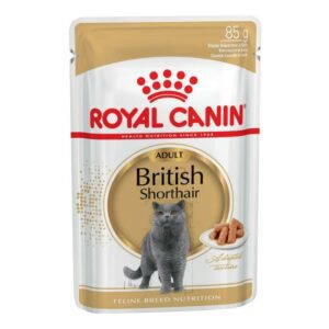 پوچ گربه رویال کنین مدل British Shorthair وزن 85 گرم